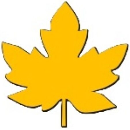 Amber Leaf Solutions (PTY) LTD